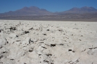 Salar de Atacama chile 70